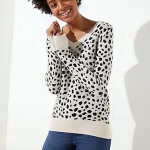 Loft Womens Ivory Gray Cheetah Print Wool Blend Knit V Neck Sweater Size Medium